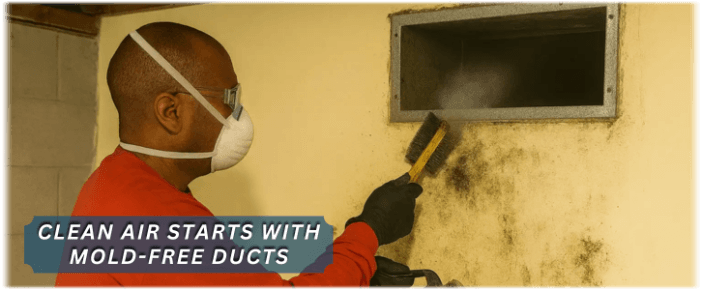 Air Duct Mold Removal in Leesburg VA