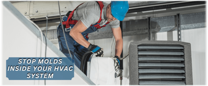 HVAC Mold Removal Leesburg VA